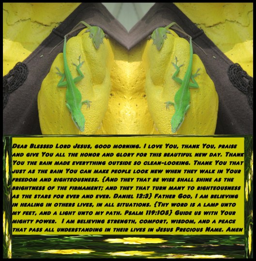 © Photo Artist Susan Ruth Robertson 090025006100 (35) - Copy.JPG