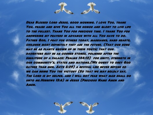 Photo Artist Susan Robertson (96) - Copy - Copy.JPG