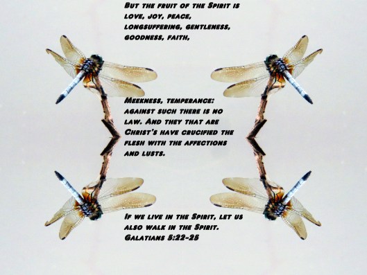 SX260 HS © Photo Artist Susan Ruth Robertson 090025006100 052 - Copy (2) - Copy - Copy.JPG