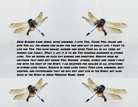 sx260-hs-photo-artist-susan-ruth-robertson-090025006100-052-copy-3-copy