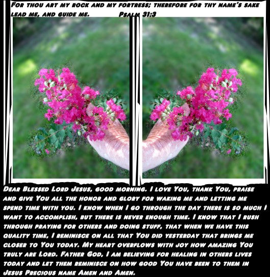 SX260 HS ©Photo Artist Susan Ruth Robertson 090025006100 010 - Copy (3).JPG