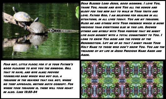 SX400 IS © Photo Artist Susan Ruth Robertson 090025006100 003 - Copy.JPG