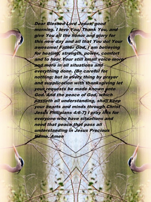 © Photo Artist Susan ruth Robertson 09002500100 011 - Copy - Copy.JPG