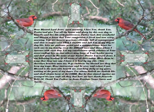 photo-artist-susan-ruth-robertson-09002500100-014-copy