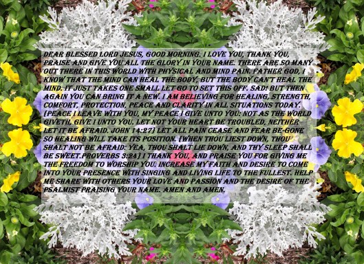 © Photo Artist Susan ruth Robertson 09002500100 046 - Copy - Copy.JPG
