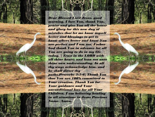 © Photo Artist Susan Ruth Robertson 090025006100 008 - Copy - Copy.JPG