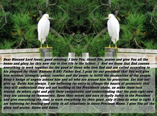 © Photo Artist Susan Ruth Robertson 090025006100 010 - Copy (2).JPG