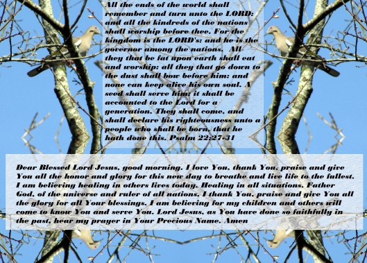 © Photo Artist Susan Ruth Robertson 090025006100 033 - Copy.JPG