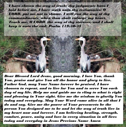© Photo Artist Susan Ruth Robertson 090025006100 037 - Copy.JPG