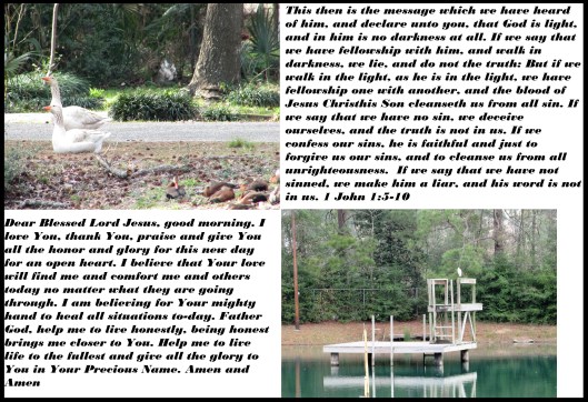 © Photo Artist Susan Ruth Robertson 090025006100 060 - Copy.JPG