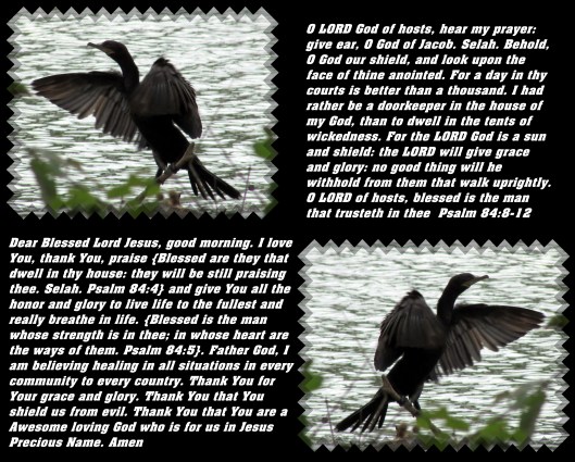 © Photo Artist Susan Ruth Robertson 090025006100 118 - Copy (2).JPG