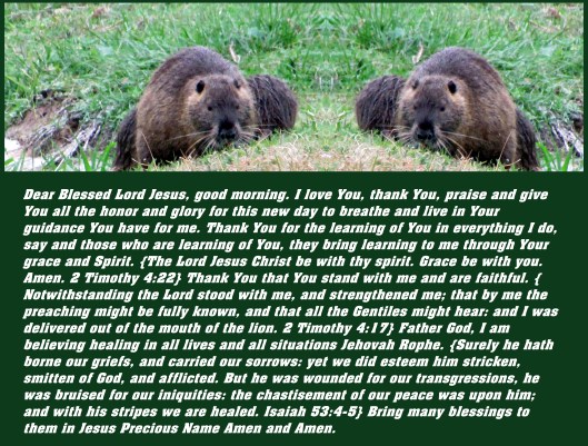 © Photo Artist Susan Ruth Robertson 090025006100 132 - Copy (2).JPG