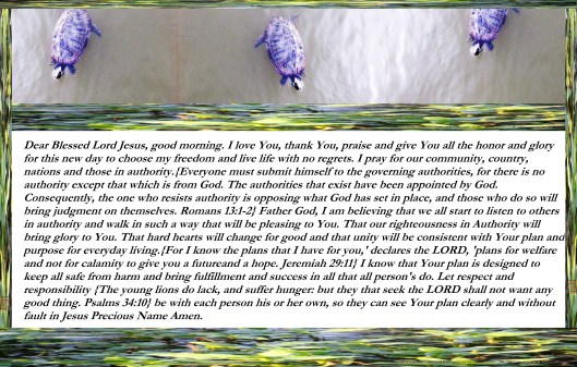 photo-artist-susan-ruth-robertson-09002500100-096-copy