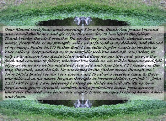 © Photo Artist Susan Ruth Robertson 090025006100 002 - Copy