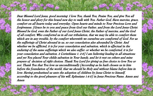 © Photo Artist Susan Ruth Robertson 090025006100 005 - Copy - Copy - Copy (2).JPG