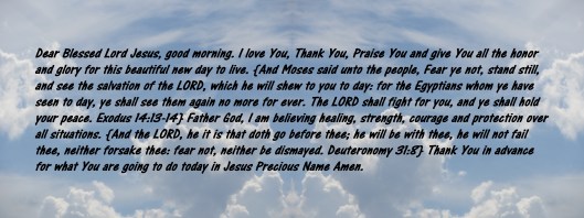 © Photo Artist Susan Ruth Robertson 090025006100 009.JPG