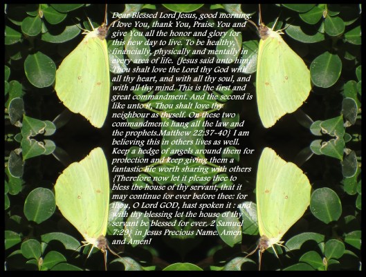 © Photo Artist Susan Ruth Robertson 090025006100 025 - Copy (2) - Copy.JPG