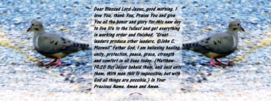 © Photo Artist Susan Ruth Robertson 090025006100 026 - Copy.JPG