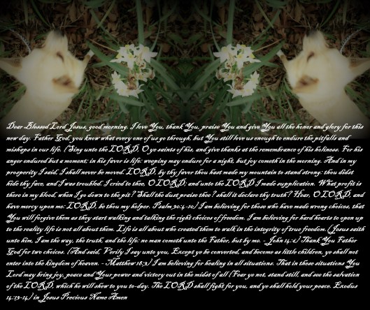 © Photo Artist Susan Ruth Robertson 090025006100 040 - Copy.JPG