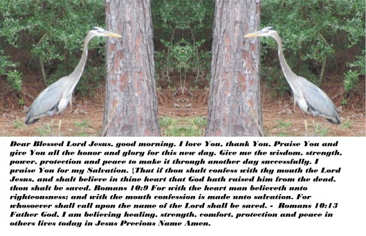 © Photo Artist Susan Ruth Robertson 090025006100 051 - Copy.JPG