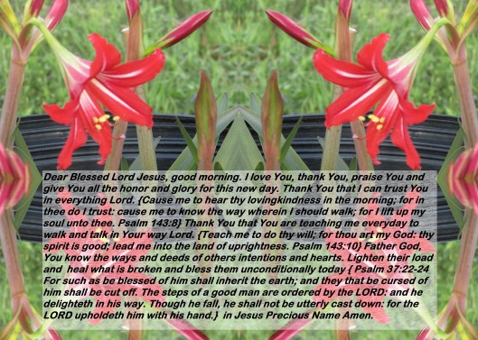 © Photo Artist Susan Ruth Robertson 090025006100 083 - Copy - Copy.JPG