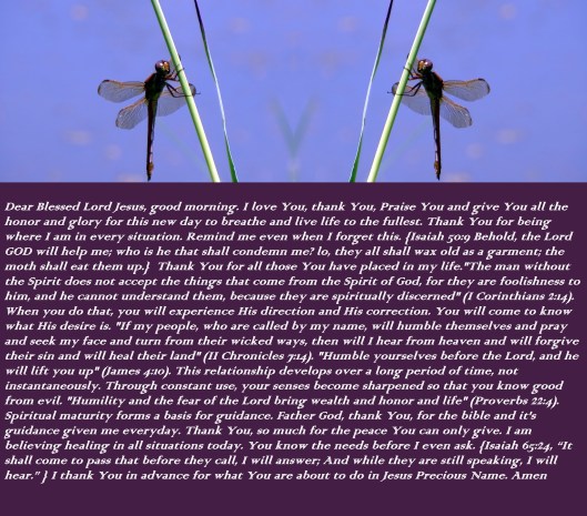 © Photo Artist Susan Ruth Robertson 090025006100  (100) - Copy.JPG