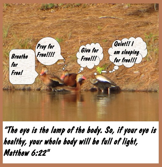 © Photo Artist Susan Ruth Robertson 090025006100 102.JPG