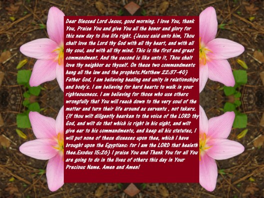 © Photo Artist Susan Ruth Robertson 090025006100  (107) - Copy.JPG