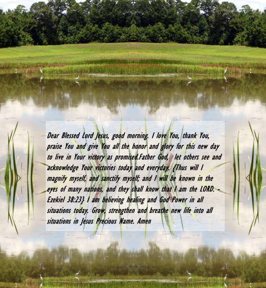 © Photo Artist Susan Ruth Robertson 090025006100  (19) - Copy.JPG