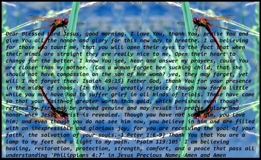 © Photo Artist Susan Ruth Robertson 090025006100  (95) - Copy.JPG