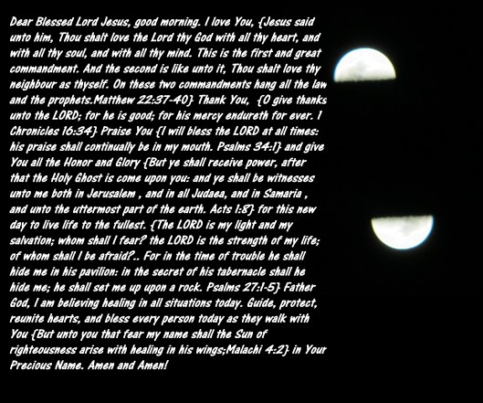 Feb 18, 2013 010 - Copy.JPG