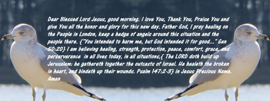 Photo Artist Susan Robertson (119) - Copy.JPG