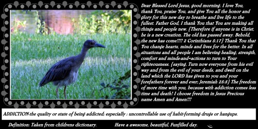 SX400 IS © Photo Artist Susan Ruth Robertson 090025006100 028 - Copy.JPG