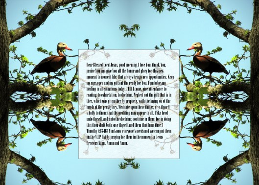 © Photo Artist Susan Ruth Robertson 090025006100 064 - Copy - Copy.JPG