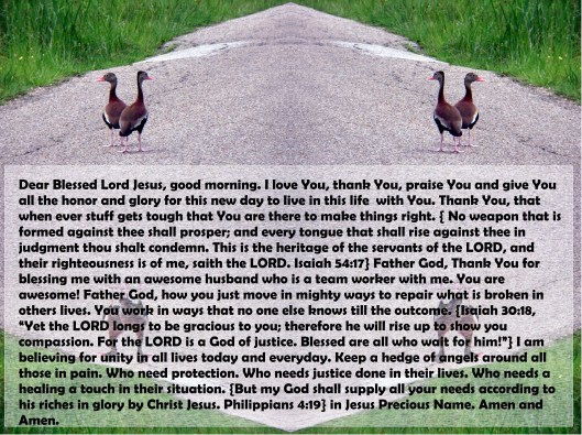 © Photo Artist Susan Ruth Robertson 090025006100 002 - Copy.JPG