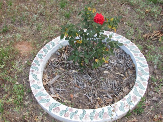 © Photo Artist Susan Ruth Robertson 090025006100 002.JPG