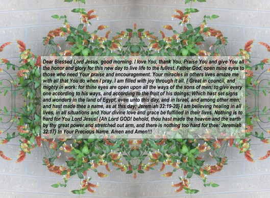 © Photo Artist Susan Ruth Robertson 090025006100 004 - Copy - Copy.JPG