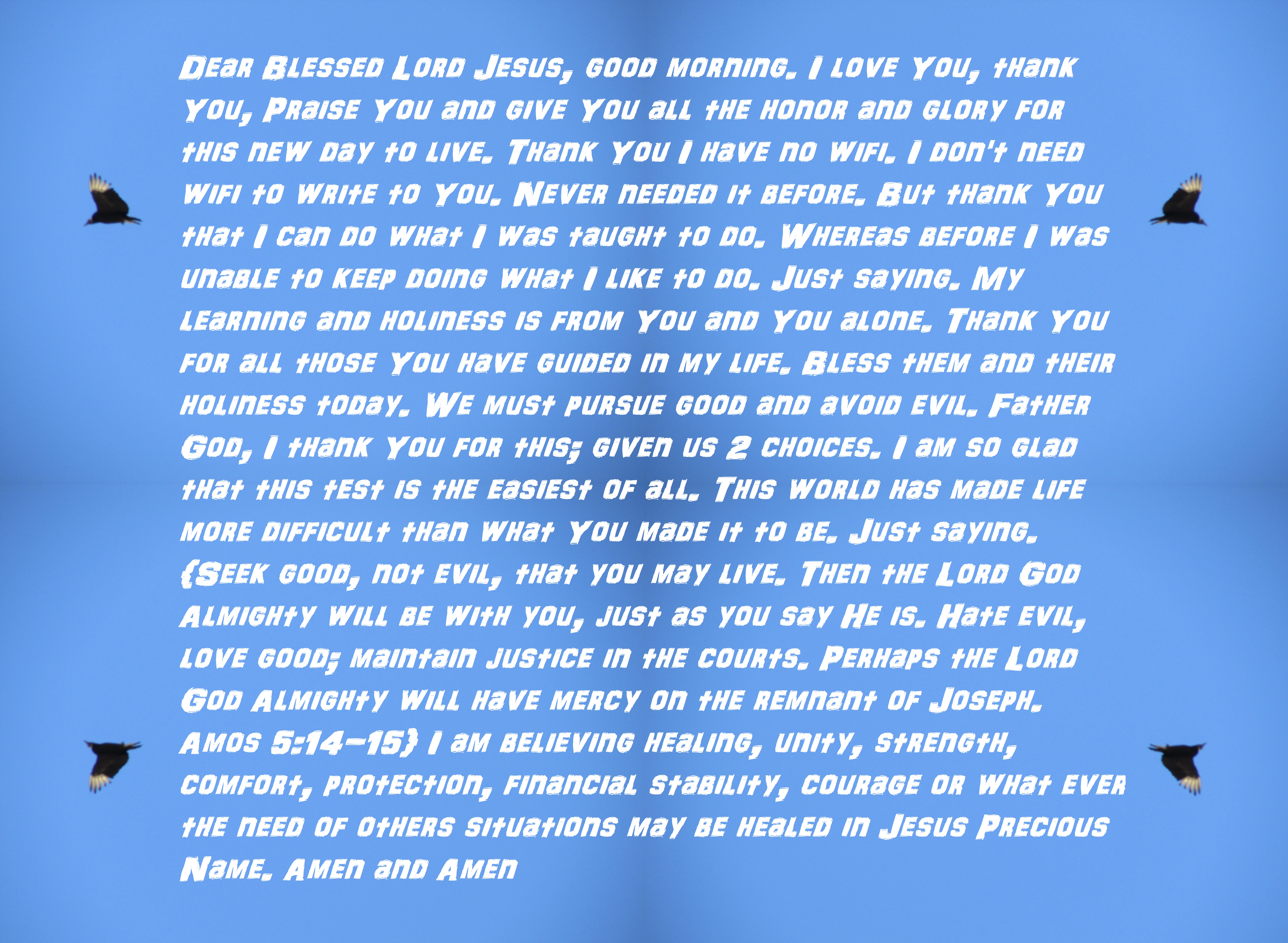 © Photo Artist Susan Ruth Robertson 090025006100 009 - Copy (2).JPG