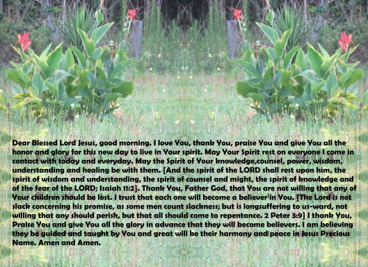 © Photo Artist Susan Ruth Robertson 090025006100 010 - Copy.JPG