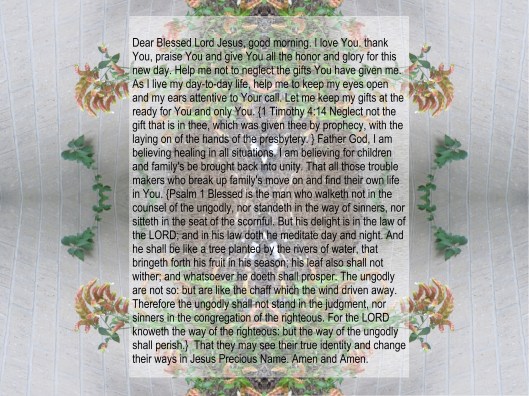 © Photo Artist Susan Ruth Robertson 090025006100 011 - Copy - Copy.JPG