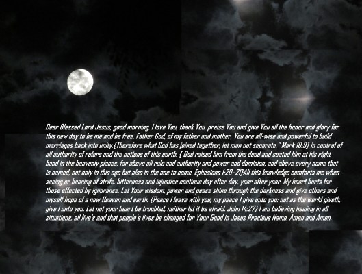 © Photo Artist Susan Ruth Robertson 090025006100 011.JPG