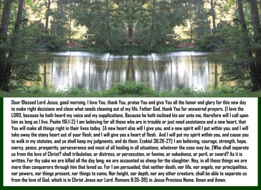 © Photo Artist Susan Ruth Robertson 090025006100 021 - Copy.JPG