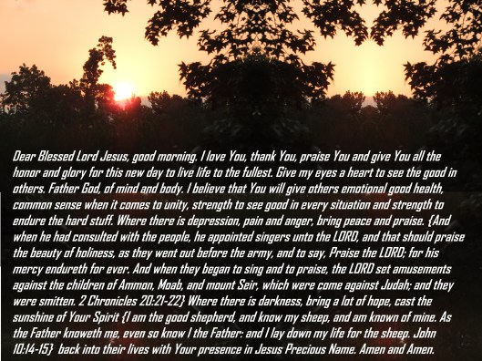 © Photo Artist Susan Ruth Robertson 090025006100 029 - Copy - Copy.JPG