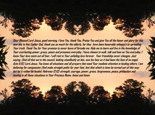 © Photo Artist Susan Ruth Robertson 090025006100 032 - Copy - Copy.JPG