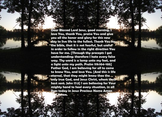 © Photo Artist Susan Ruth Robertson 090025006100 032 - Copy - Copy.JPG