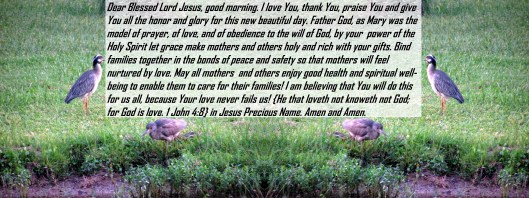 © Photo Artist Susan Ruth Robertson 090025006100 040 - Copy.JPG