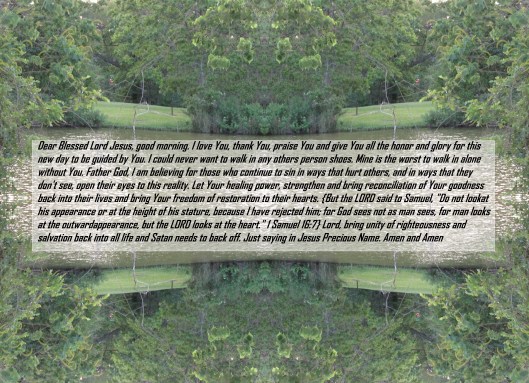 © Photo Artist Susan Ruth Robertson 090025006100 044 - Copy - Copy.JPG