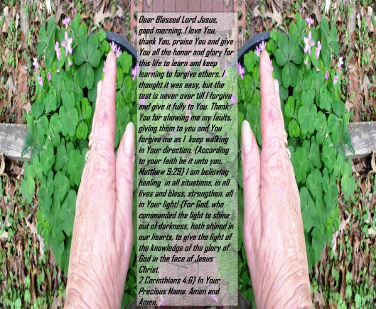 © Photo Artist Susan Ruth Robertson 090025006100 047 - Copy.JPG