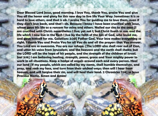 © Photo Artist Susan Ruth Robertson 090025006100 051 - Copy - Copy (2).JPG