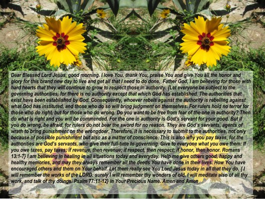 © Photo Artist Susan Ruth Robertson 090025006100 141 - Copy.JPG